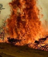 juillet 2022, incendie dans l’Oregon (usa) dans les flammes, le visage du feu. 